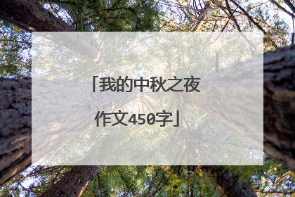 我的中秋之夜作文450字