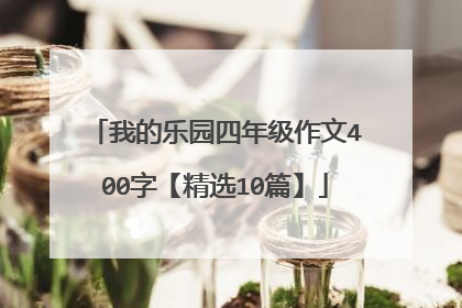 我的乐园四年级作文400字【精选10篇】