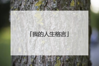 我的人生格言