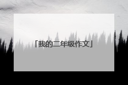 我的二年级作文