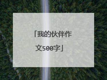 我的伙伴作文500字