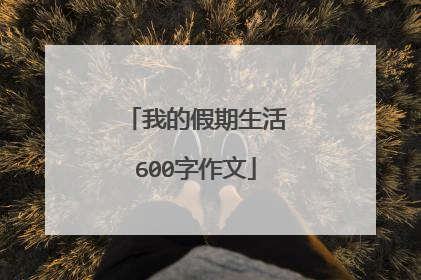 我的假期生活600字作文