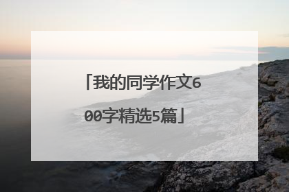 我的同学作文600字精选5篇