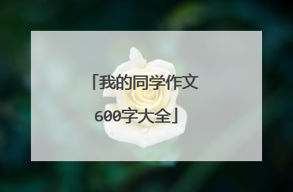我的同学作文600字大全