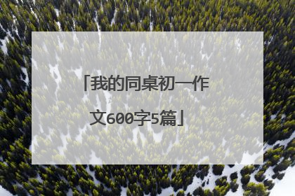 我的同桌初一作文600字5篇