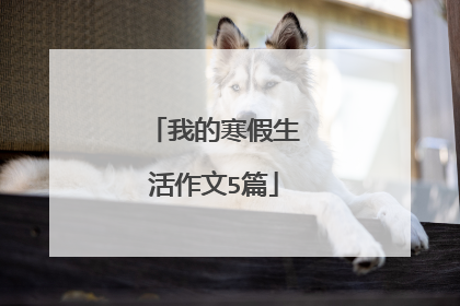 我的寒假生活作文5篇