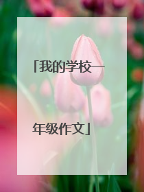 我的学校一年级作文