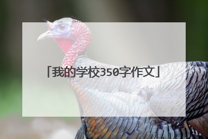 我的学校350字作文