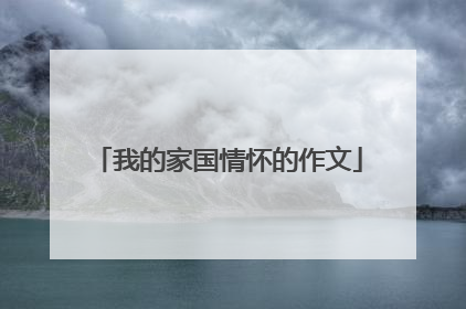 我的家国情怀的作文