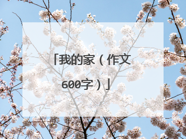 我的家（作文600字）