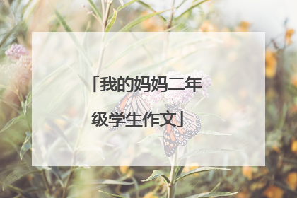 我的妈妈二年级学生作文