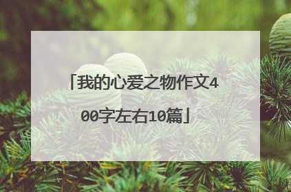 我的心爱之物作文400字左右10篇