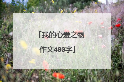 我的心爱之物作文400字