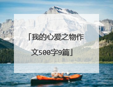 我的心爱之物作文500字9篇