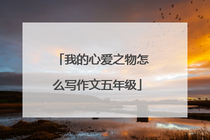我的心爱之物怎么写作文五年级