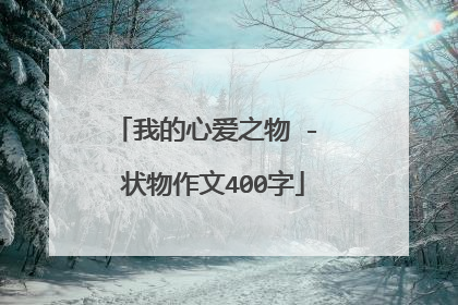 我的心爱之物 - 状物作文400字