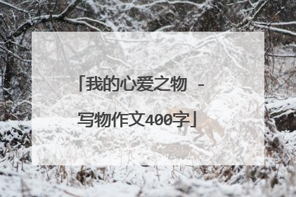 我的心爱之物 - 写物作文400字