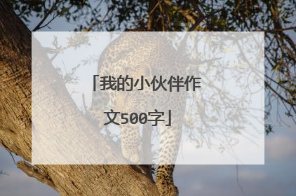 我的小伙伴作文500字