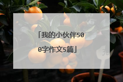 我的小伙伴500字作文5篇