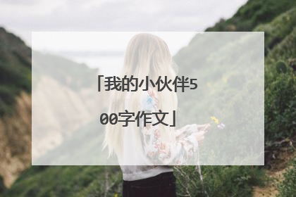 我的小伙伴500字作文