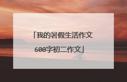 我的暑假生活作文600字初二作文