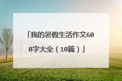我的暑假生活作文600字大全（10篇）