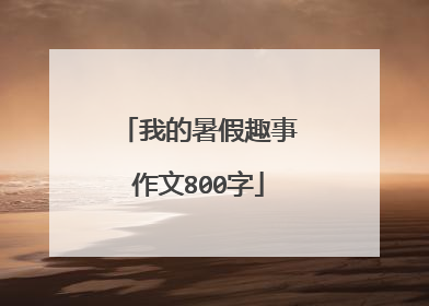 我的暑假趣事作文800字
