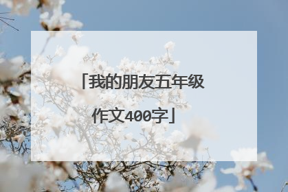 我的朋友五年级作文400字