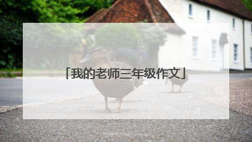 我的老师三年级作文
