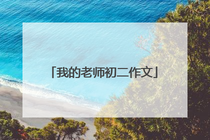 我的老师初二作文