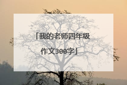 我的老师四年级作文300字