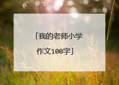 我的老师小学作文100字