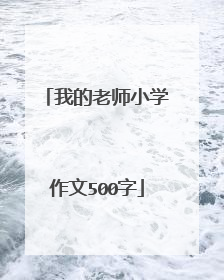 我的老师小学作文500字