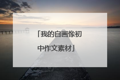 我的自画像初中作文素材