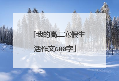我的高二寒假生活作文600字
