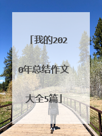 我的2020年总结作文大全5篇