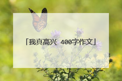我真高兴 400字作文