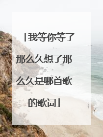 我等你等了那么久想了那么久是哪首歌的歌词