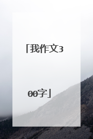 我作文300字