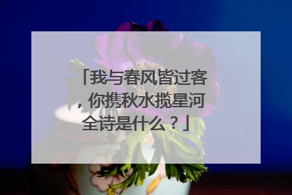 我与春风皆过客,你携秋水揽星河全诗是什么?