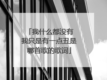 我什么都没有 我只是有一点丑是哪首歌的歌词