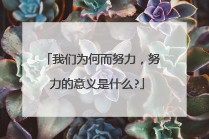 我们为何而努力,努力的意义是什么?