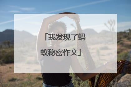 我发现了蚂蚁秘密作文