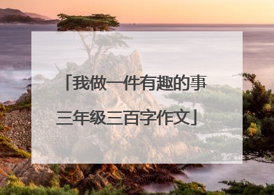 我做一件有趣的事三年级三百字作文