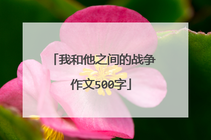 我和他之间的战争 作文500字