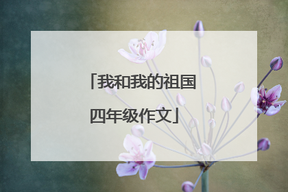 我和我的祖国四年级作文