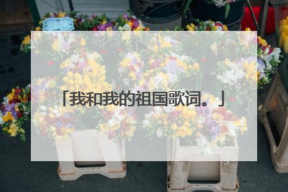 我和我的祖国歌词。