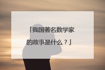 我国著名数学家的故事是什么？