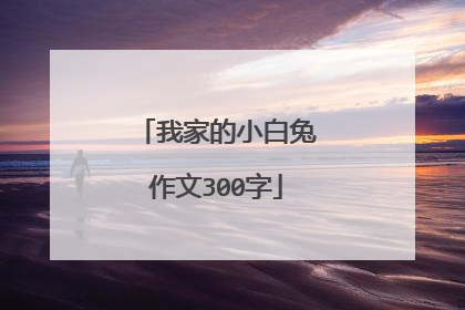 我家的小白兔作文300字