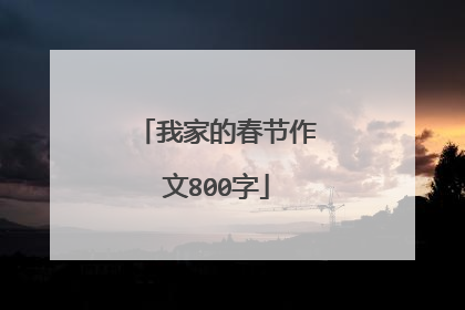 我家的春节作文800字